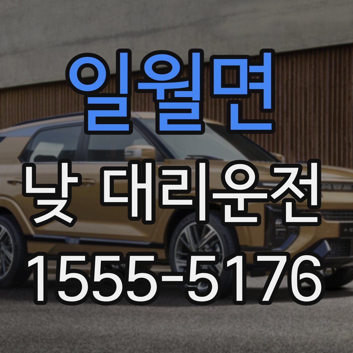 일월면 낮 대리운전