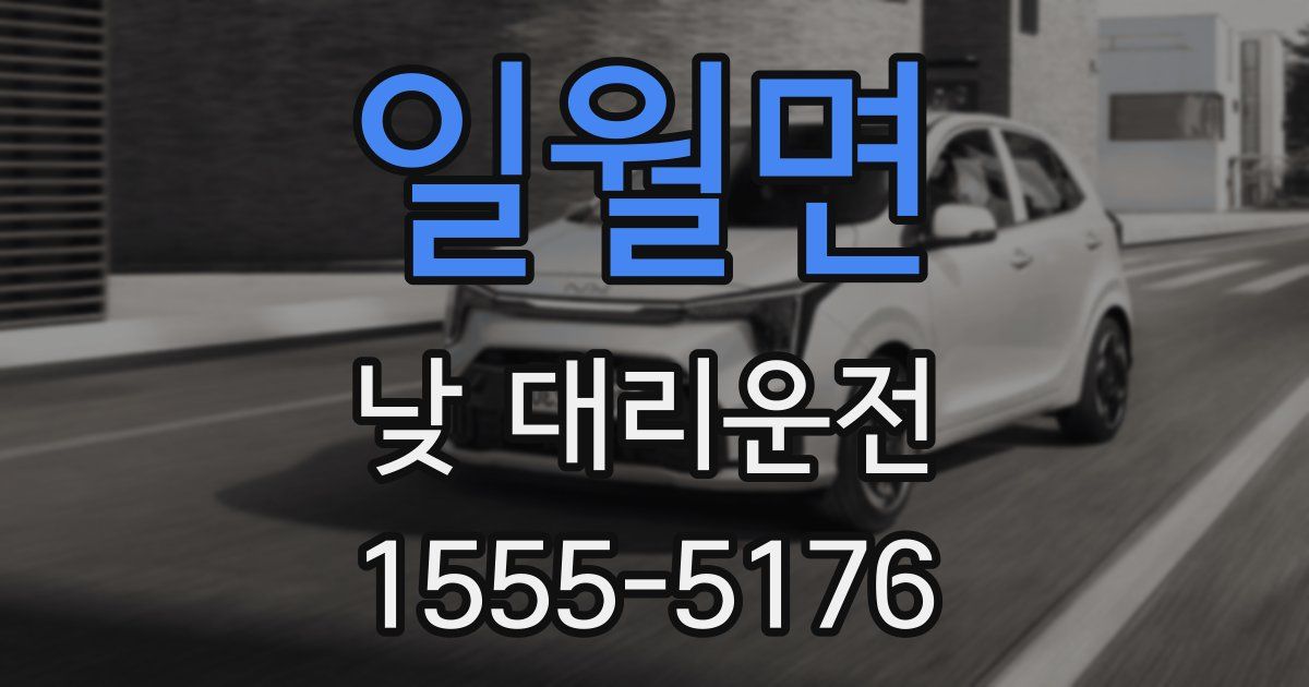 일월면 낮 대리운전