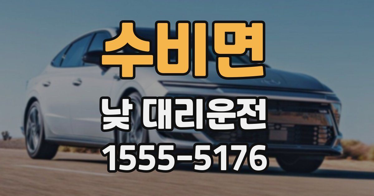 수비면 낮 대리운전
