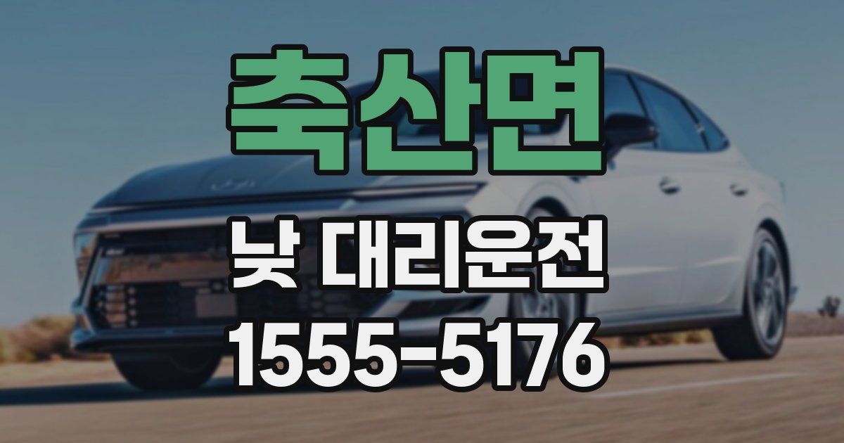 축산면 낮 대리운전