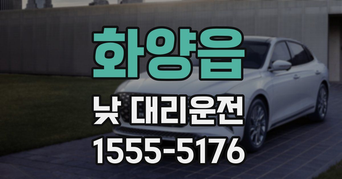화양읍 낮 대리운전