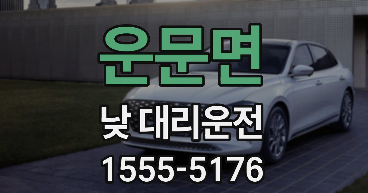 운문면 낮 대리운전
