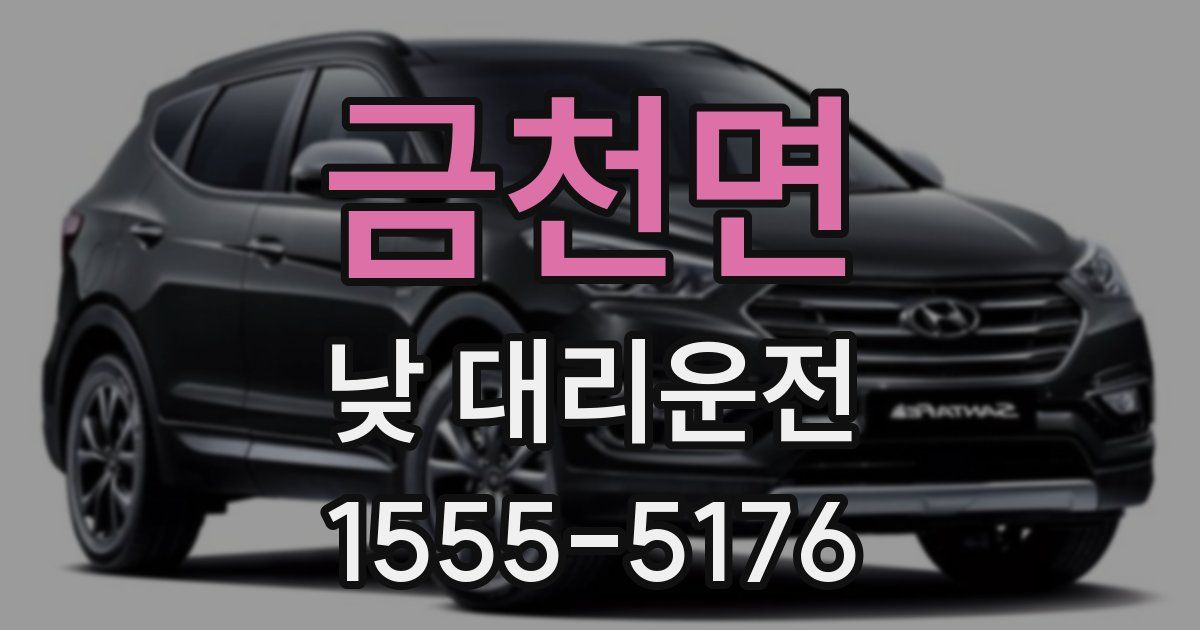 금천면 낮 대리운전