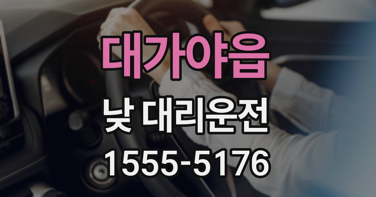 대가야읍 낮 대리운전