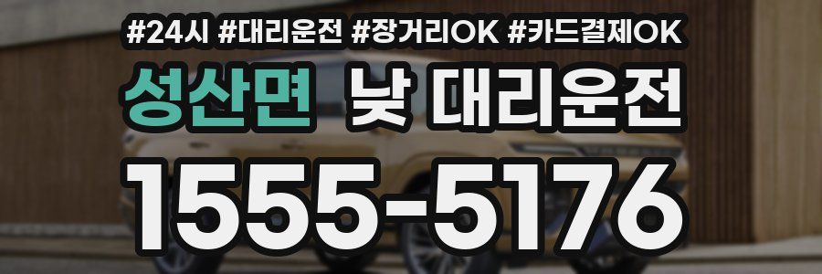 성산면 낮 대리운전