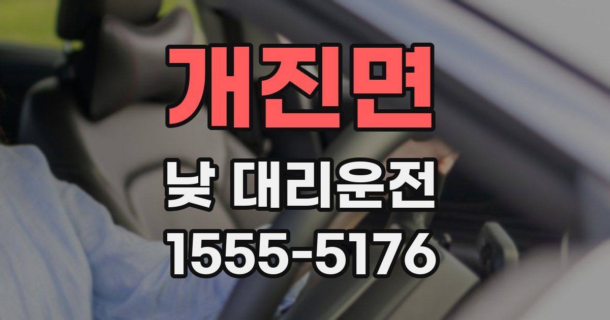 개진면 낮 대리운전