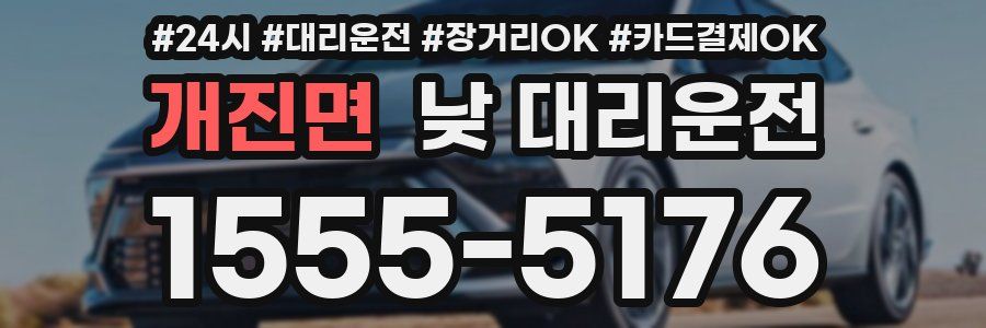 개진면 낮 대리운전