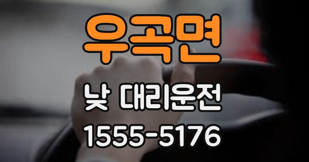우곡면 낮 대리운전