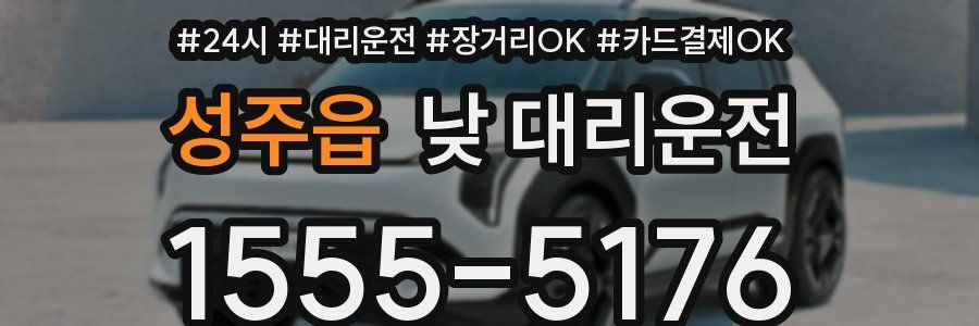 성주읍 낮 대리운전