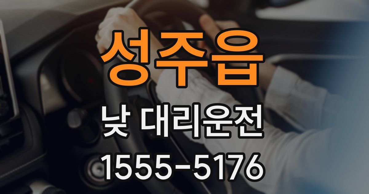 성주읍 낮 대리운전