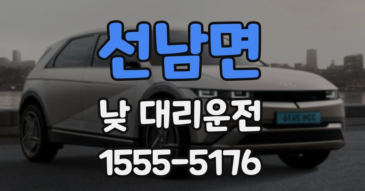 선남면 낮 대리운전