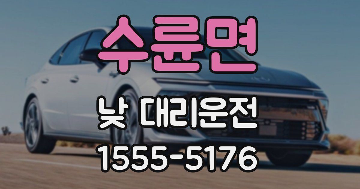 수륜면 낮 대리운전