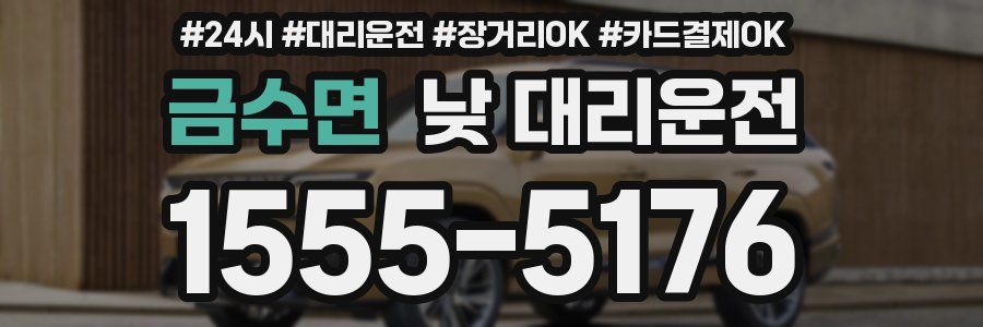금수면 낮 대리운전