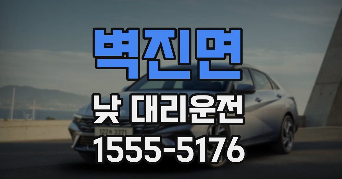 벽진면 낮 대리운전