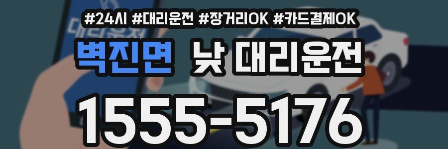 벽진면 낮 대리운전