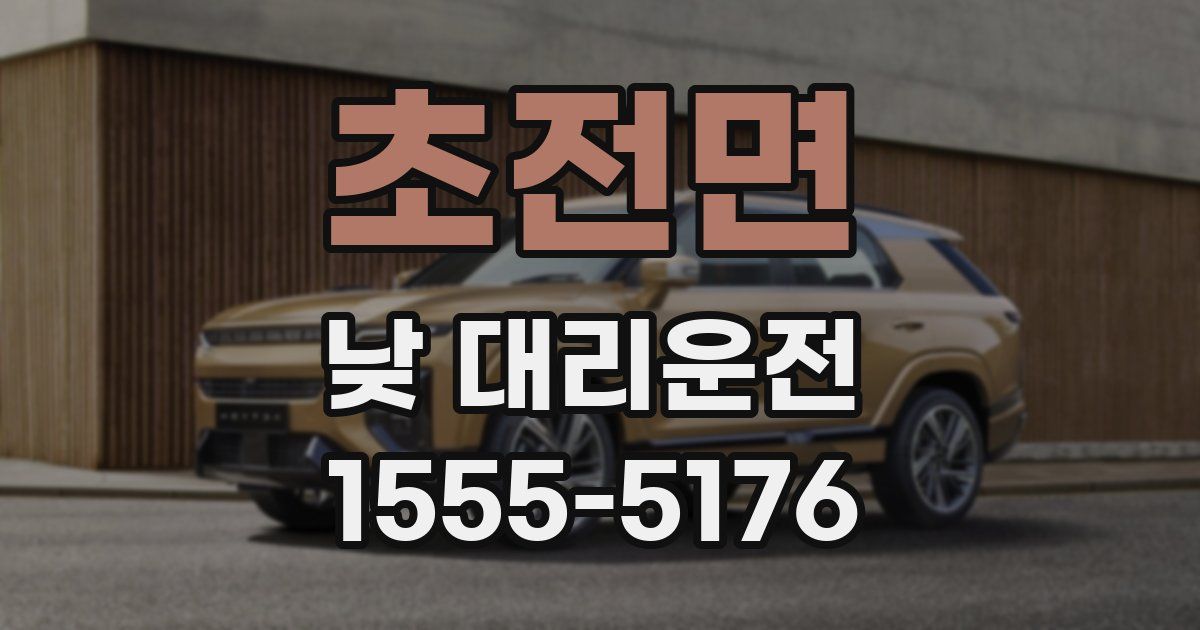 초전면 낮 대리운전