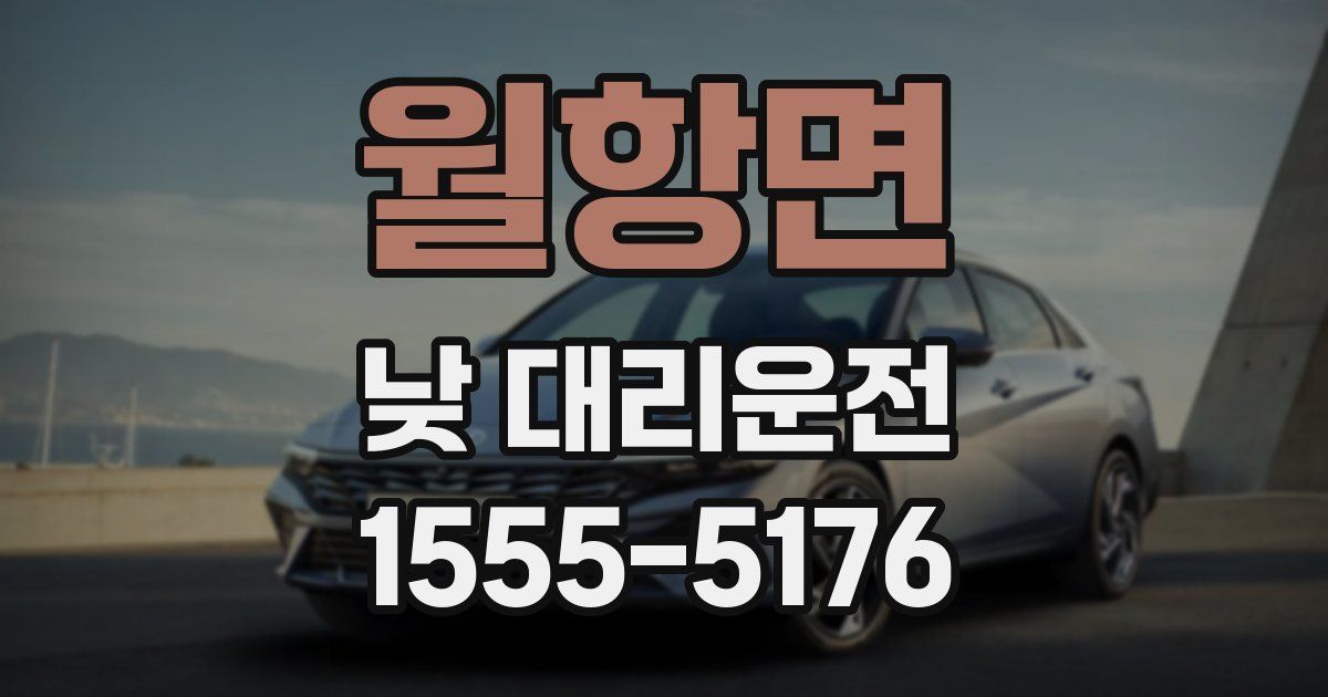 월항면 낮 대리운전