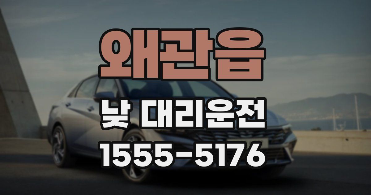 왜관읍 낮 대리운전