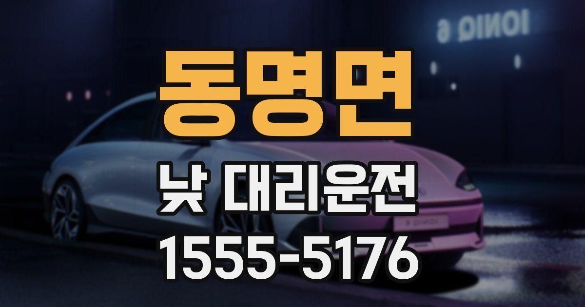 동명면 낮 대리운전