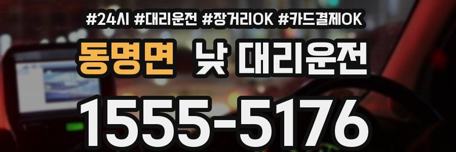 동명면 낮 대리운전