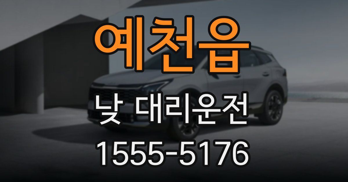 예천읍 낮 대리운전