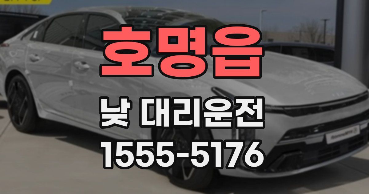 호명읍 낮 대리운전