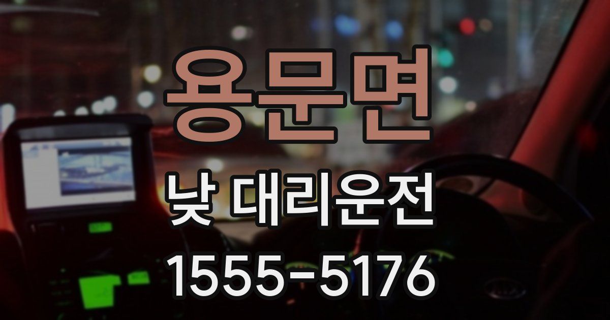 용문면 낮 대리운전