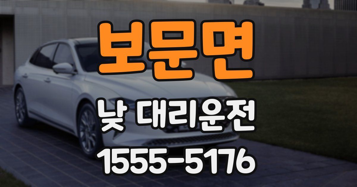 보문면 낮 대리운전