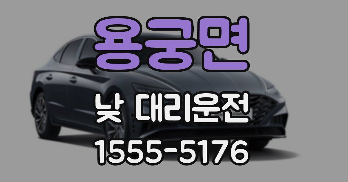 용궁면 낮 대리운전