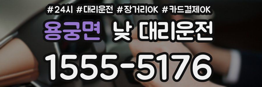 용궁면 낮 대리운전