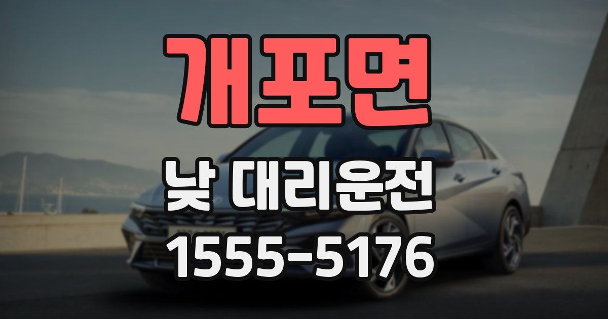 개포면 낮 대리운전