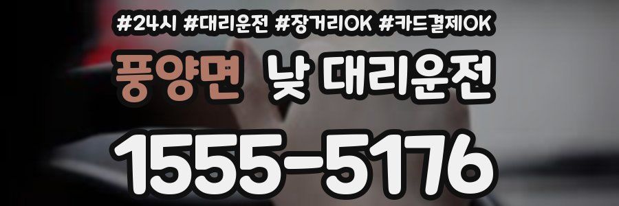 풍양면 낮 대리운전