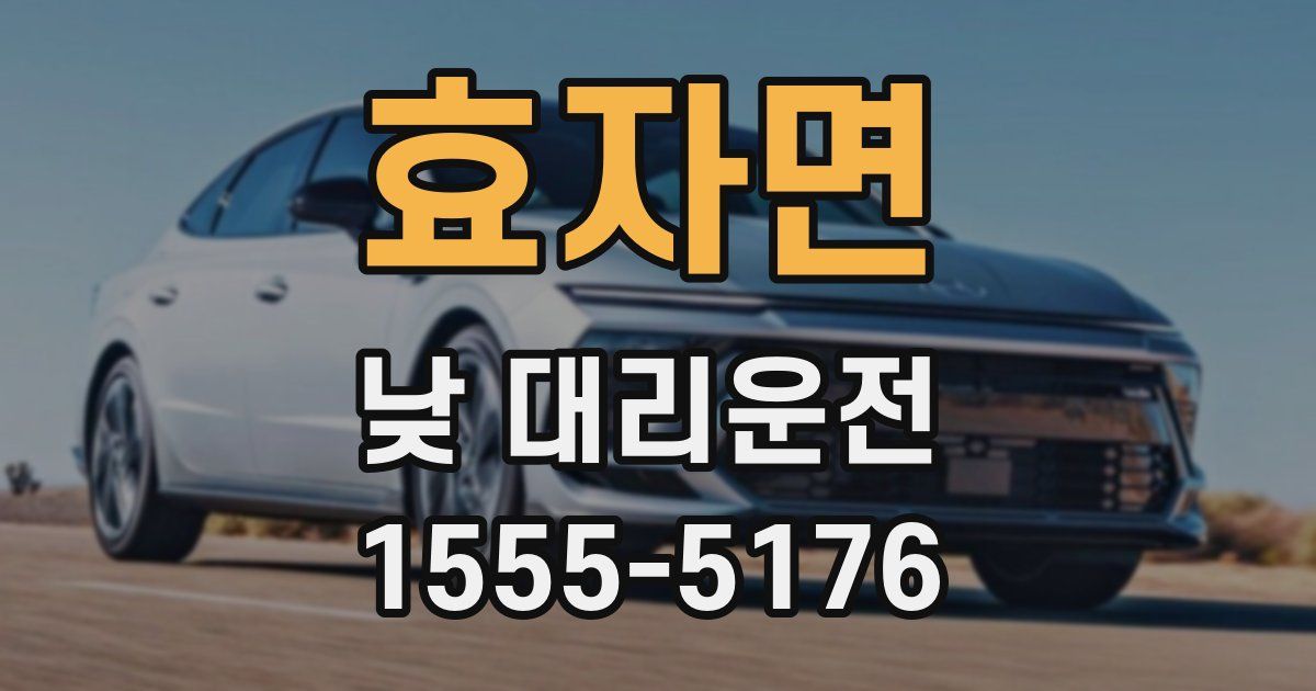 효자면 낮 대리운전
