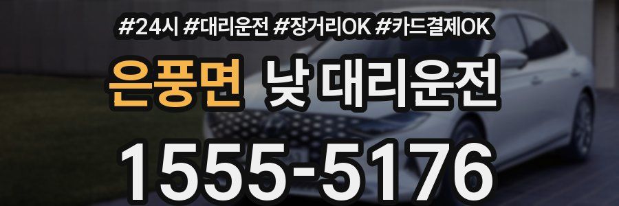 은풍면 낮 대리운전
