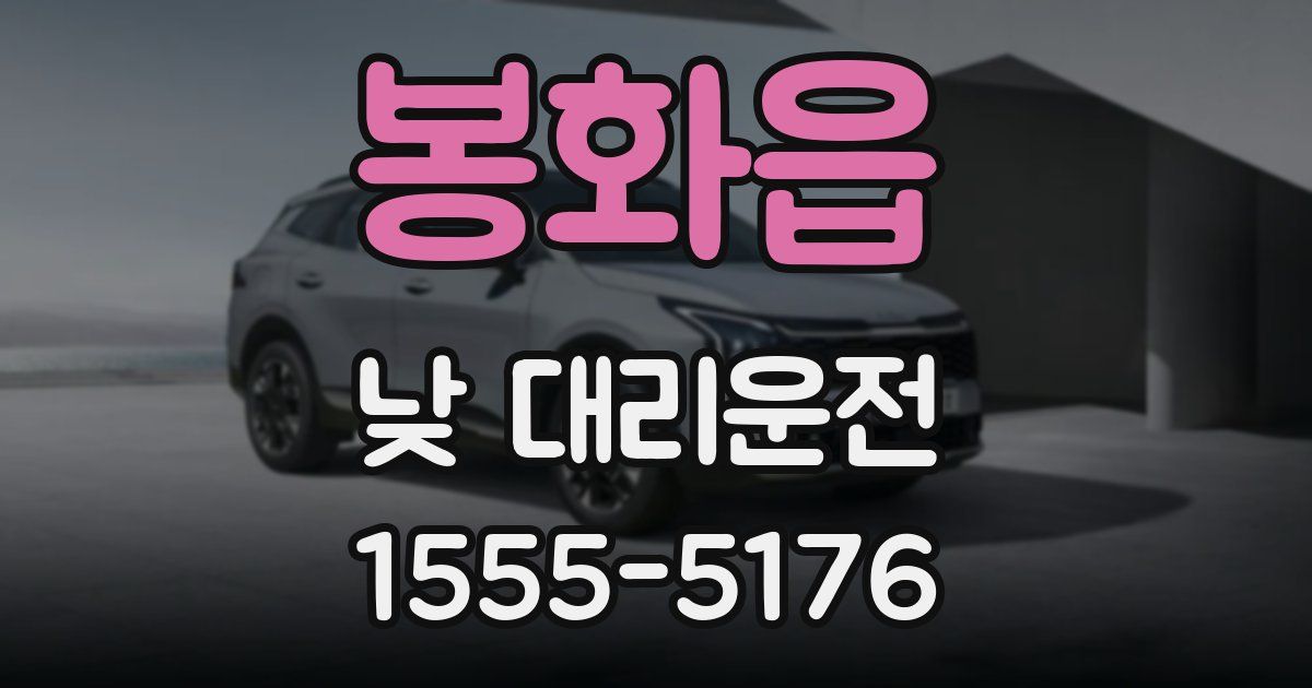 봉화읍 낮 대리운전