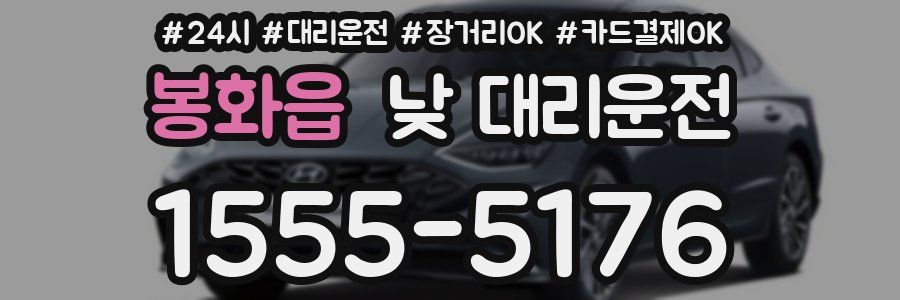 봉화읍 낮 대리운전