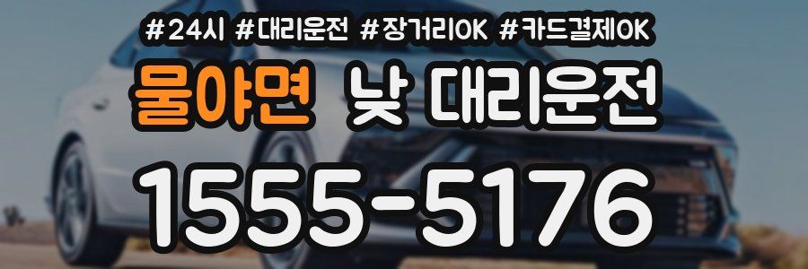 물야면 낮 대리운전