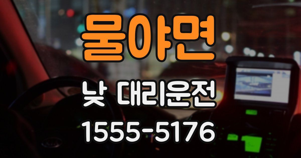 물야면 낮 대리운전