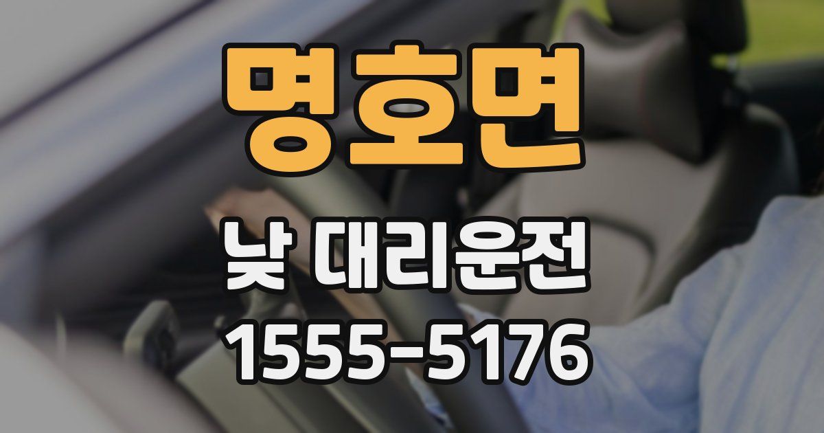명호면 낮 대리운전