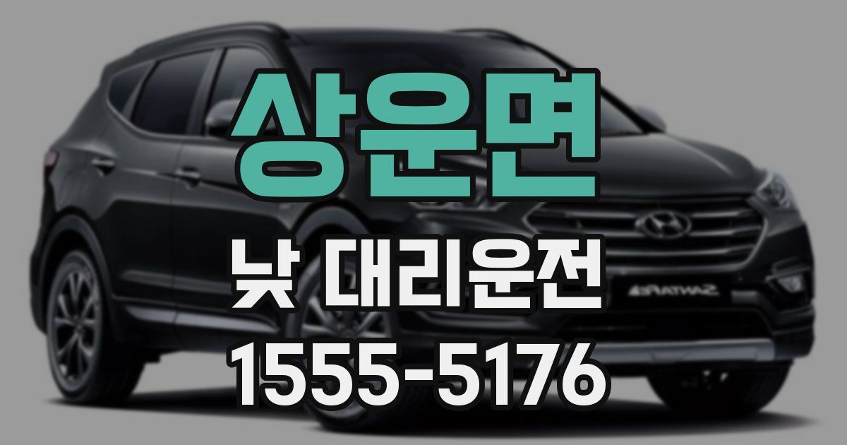 상운면 낮 대리운전