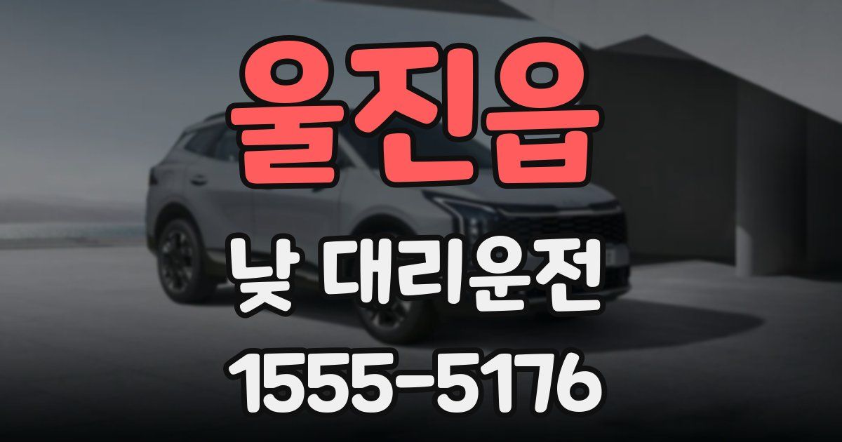 울진읍 낮 대리운전