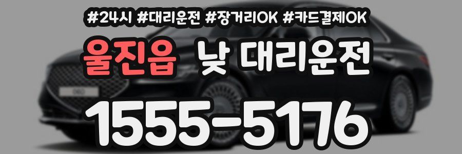 울진읍 낮 대리운전