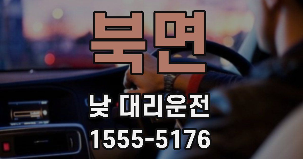 북면 낮 대리운전