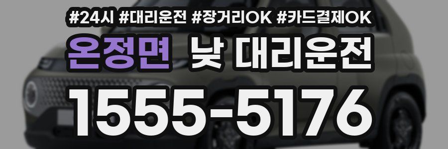 온정면 낮 대리운전