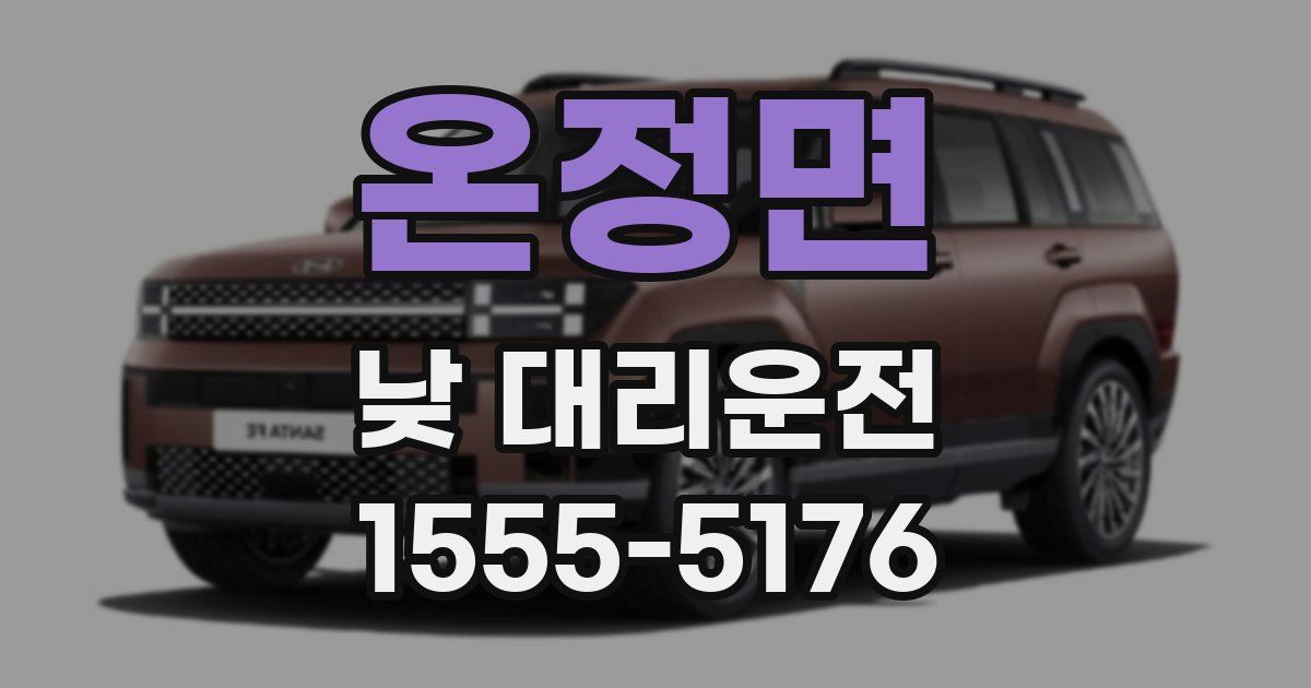 온정면 낮 대리운전