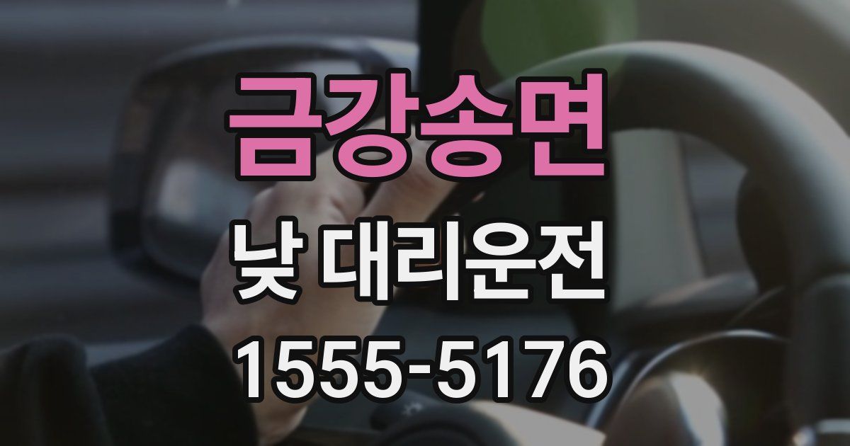 금강송면 낮 대리운전