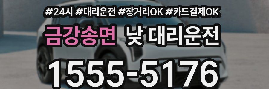 금강송면 낮 대리운전