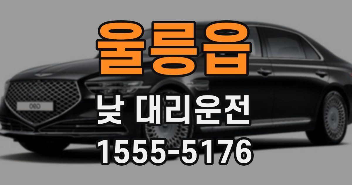울릉읍 낮 대리운전
