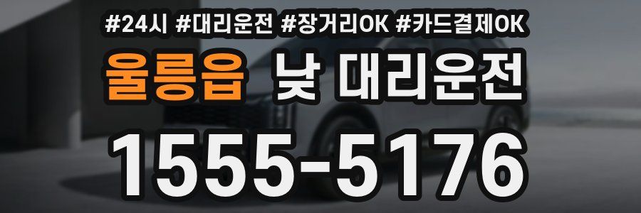 울릉읍 낮 대리운전