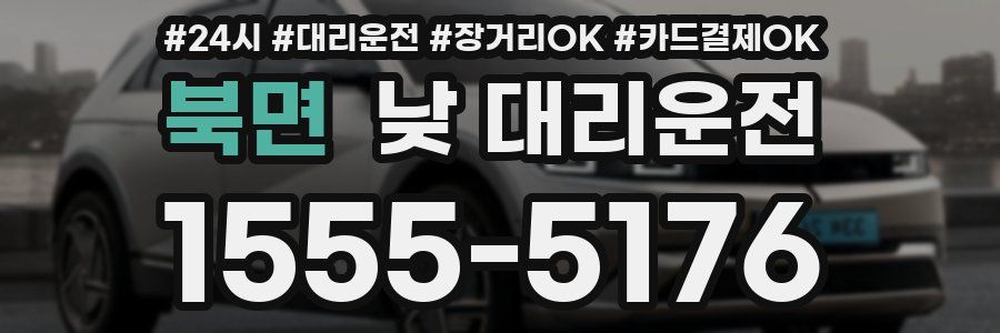북면 낮 대리운전